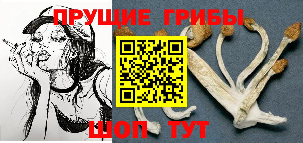 Галлюциногенные грибы Psilocybine cubensis Рубцовск